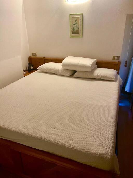Appartamento Vicino A Cortina D'Ampezzo Con Garage 皮耶韦迪卡多雷 外观 照片